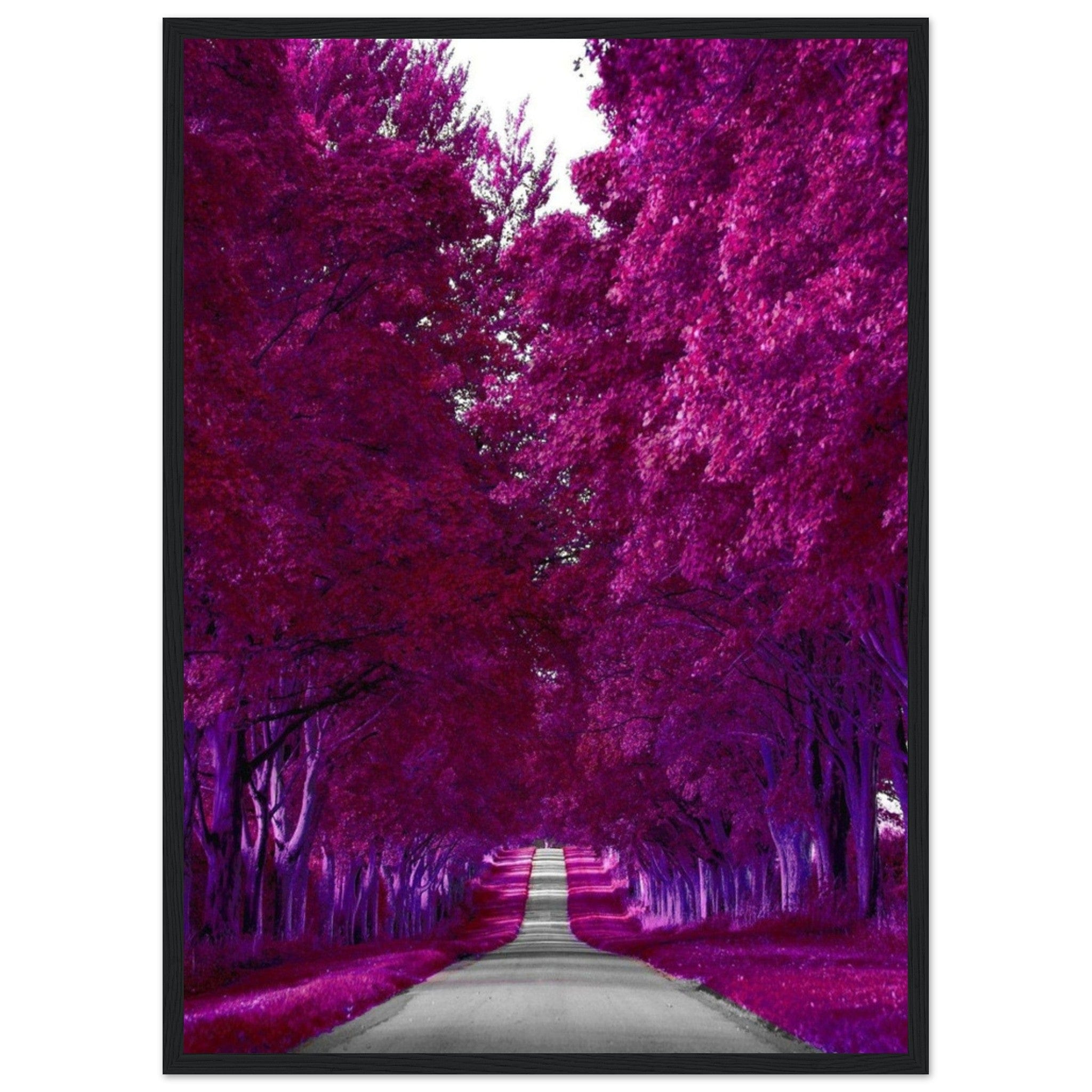 Canvanation Print Material 50x70 cm / 20x28″ Toile Forêt