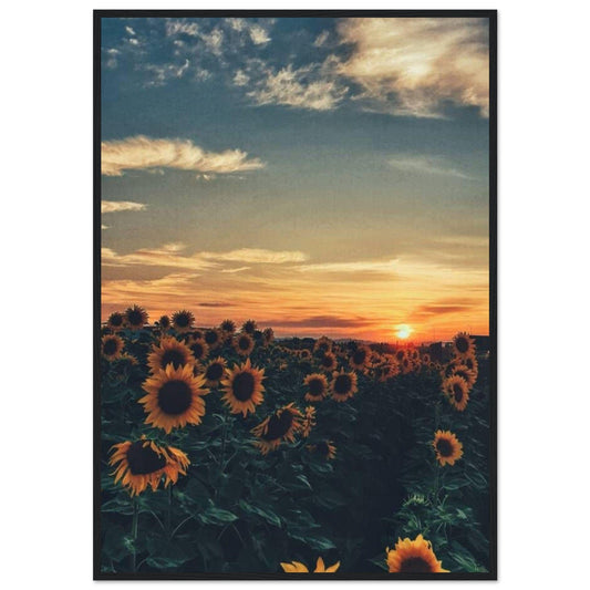 Gelato Print Material 70x100 cm / 28x40″ Tableau De Tournesol