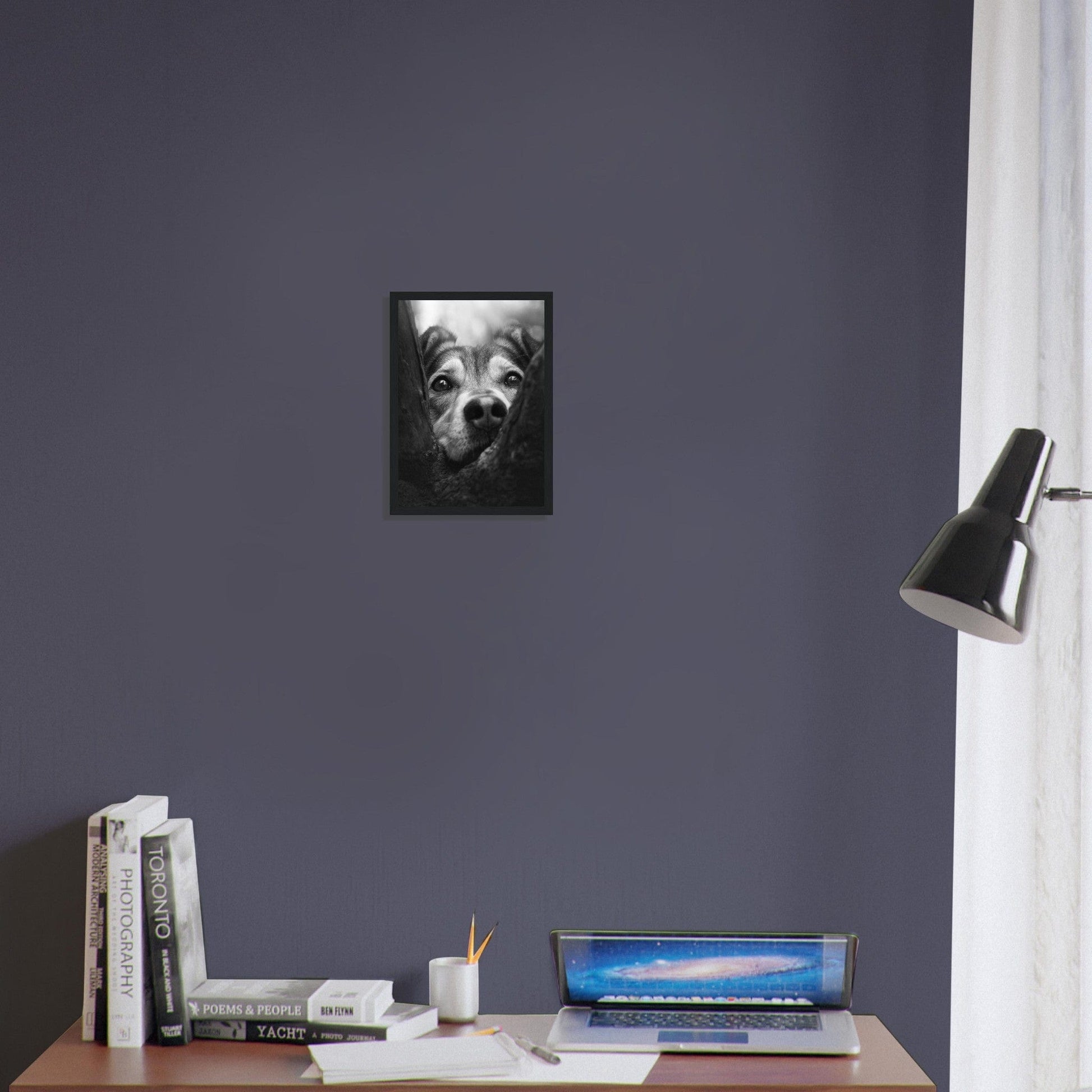 Canvanation Print Material Tableau Photo Noir Et Blanc-Animaux-Chien