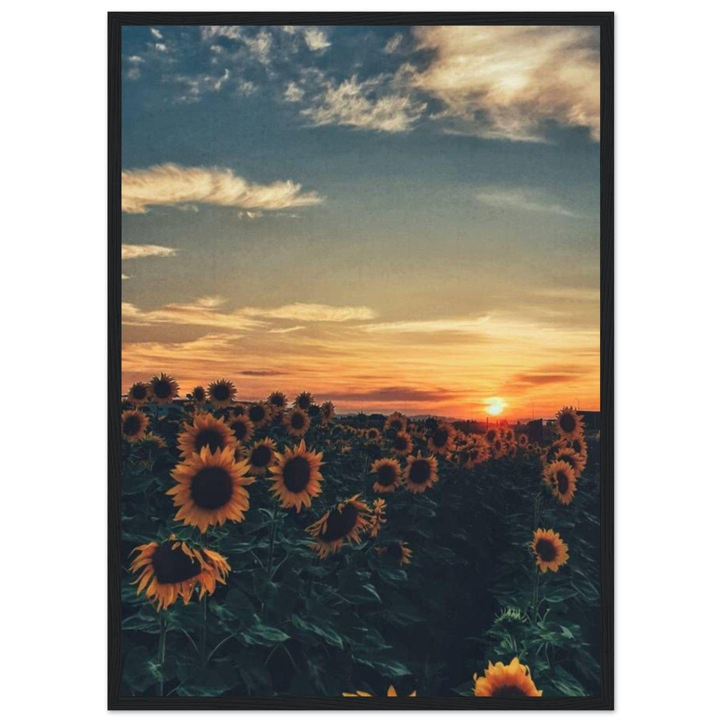 Gelato Print Material 50x70 cm / 20x28″ Tableau De Tournesol