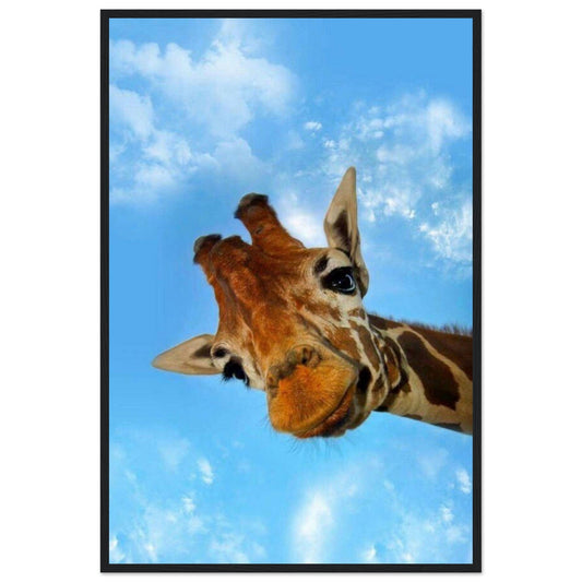 Gelato Print Material 60x90 cm / 24x36″ Cadre Girafe