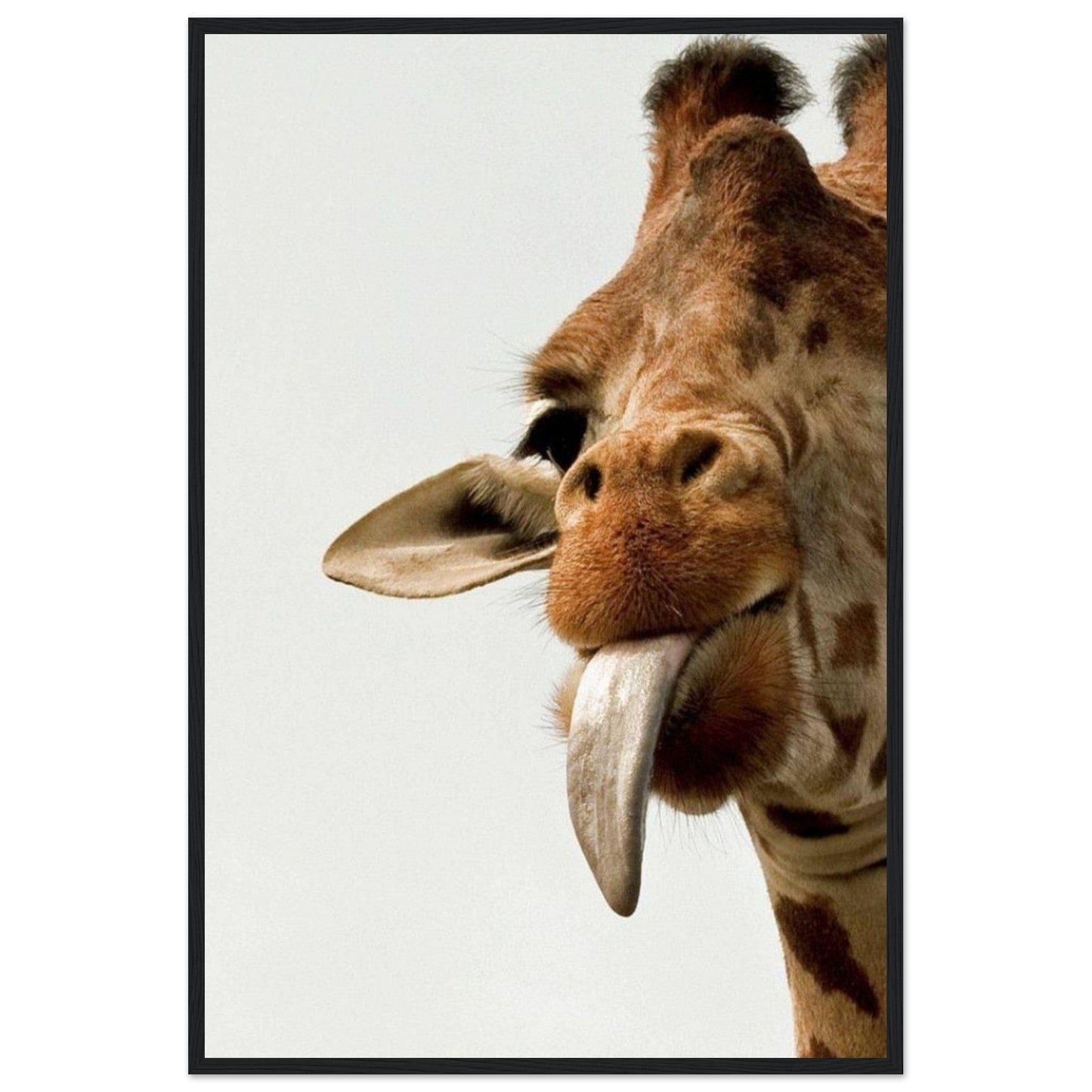Gelato Print Material 60x90 cm / 24x36″ Tableau Girafe Rigolote