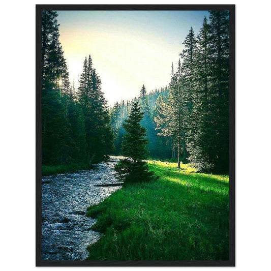 Canvanation Print Material 45x60 cm / 18x24″ Tableau Forêt Automne