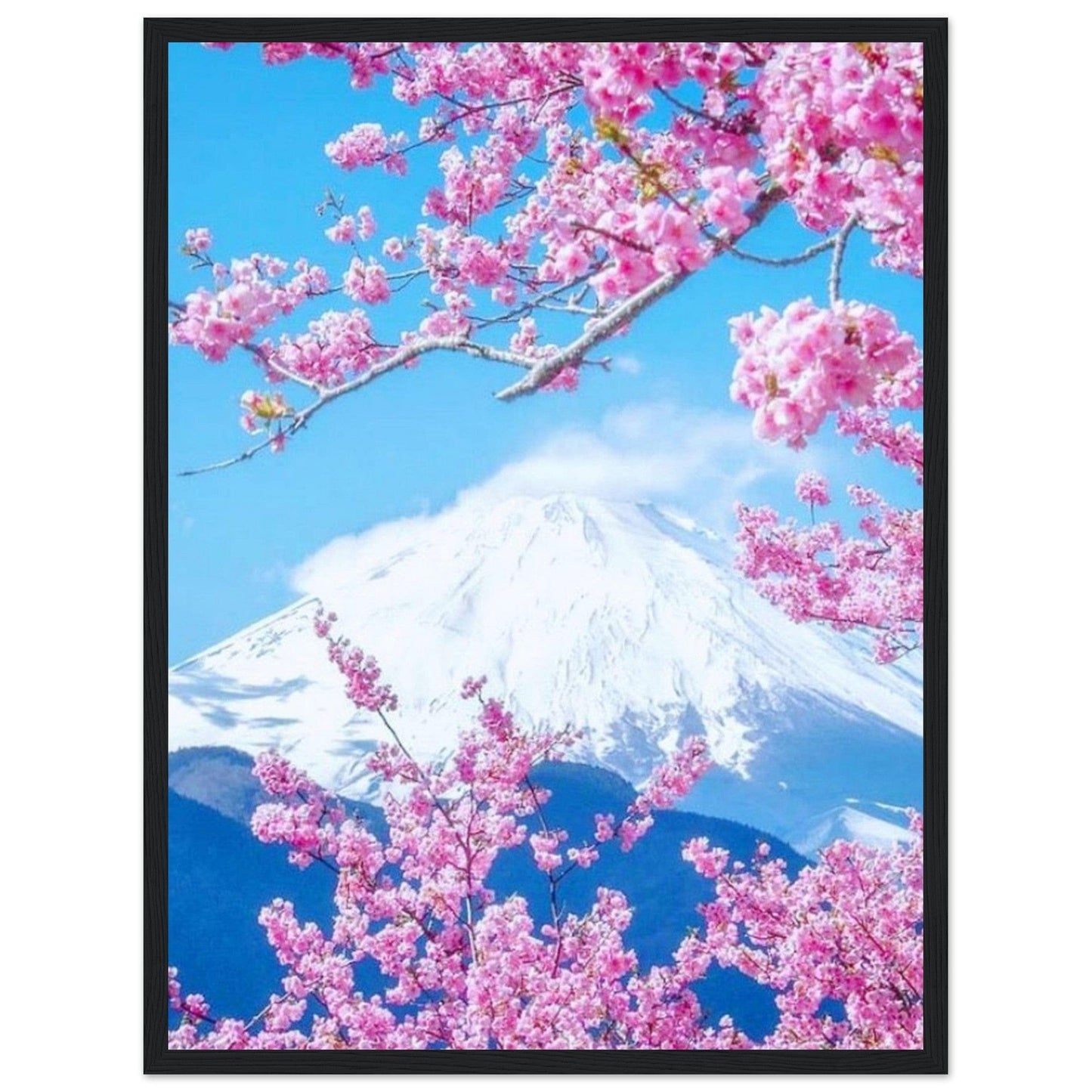 Canvanation Print Material Tableau Arbre Fleurs De Cerisier Mont