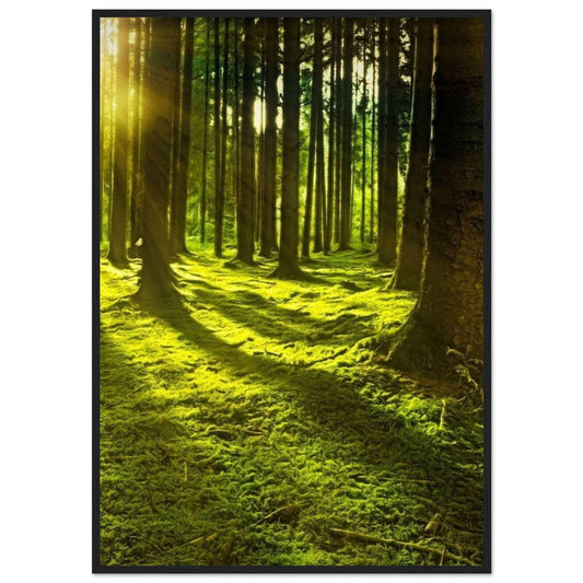 Canvanation Print Material 70x100 cm / 28x40″ Tableau Paysage Forêt