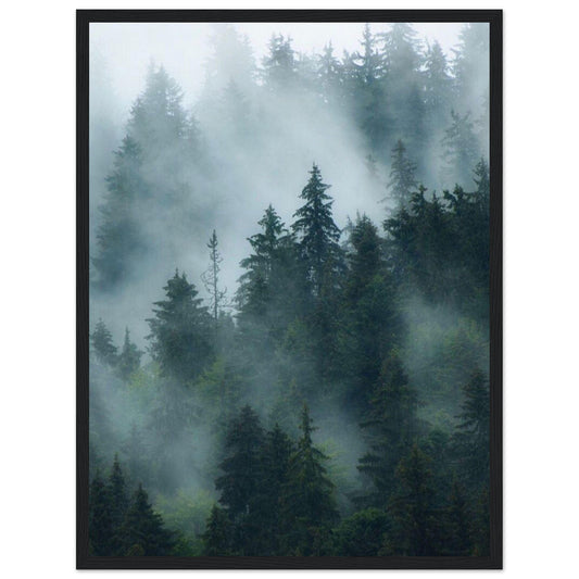 Canvanation Print Material 45x60 cm / 18x24″ Tableau Foret Tropicale