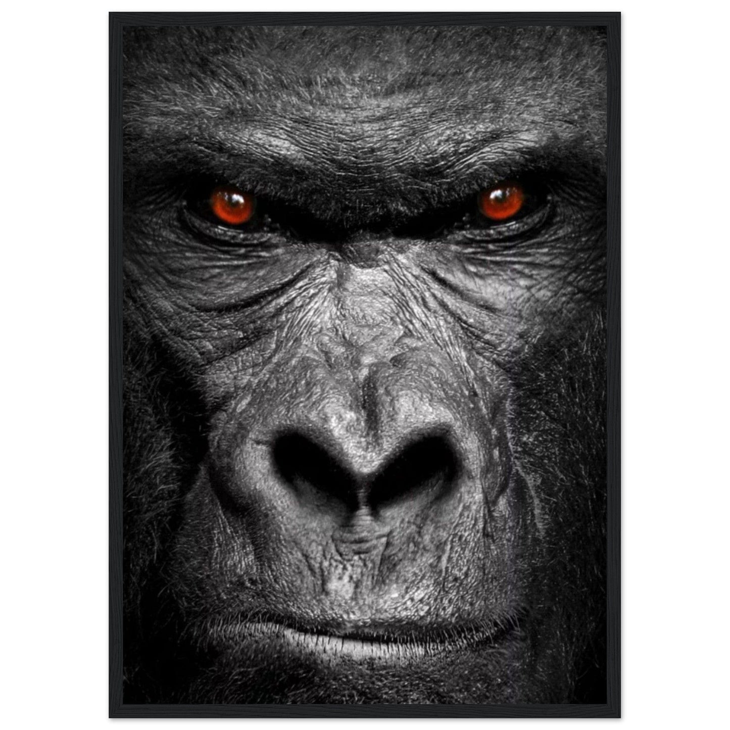 Canvanation Print Material 50x70 cm / 20x28″ Cadre Gorille Noir