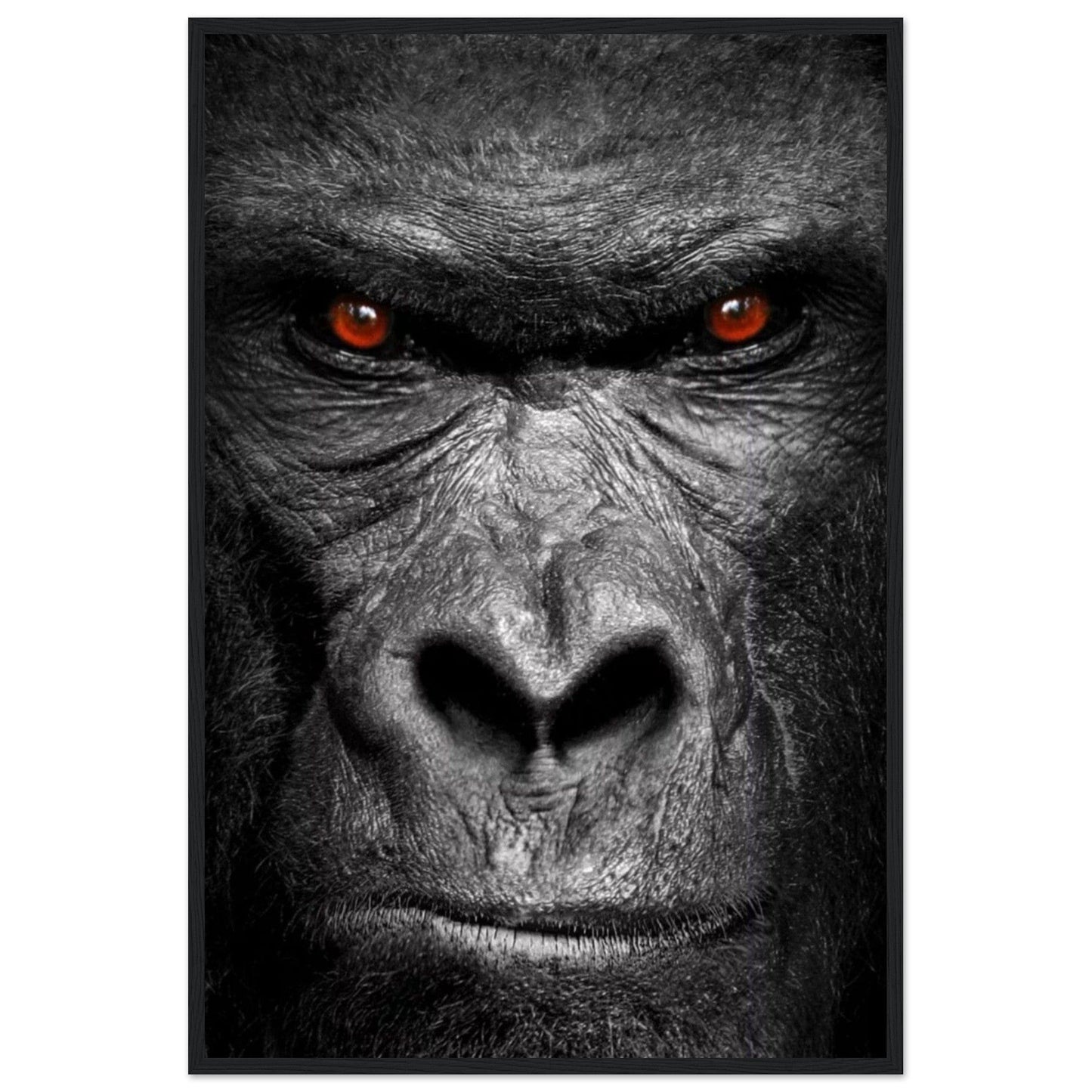 Canvanation Print Material 60x90 cm / 24x36″ Cadre Gorille Noir