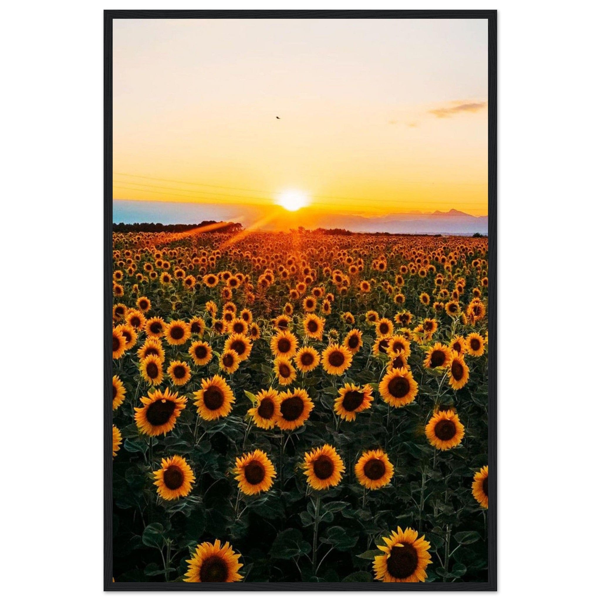 Gelato Print Material 60x90 cm / 24x36″ Peinture Tournesol Monet