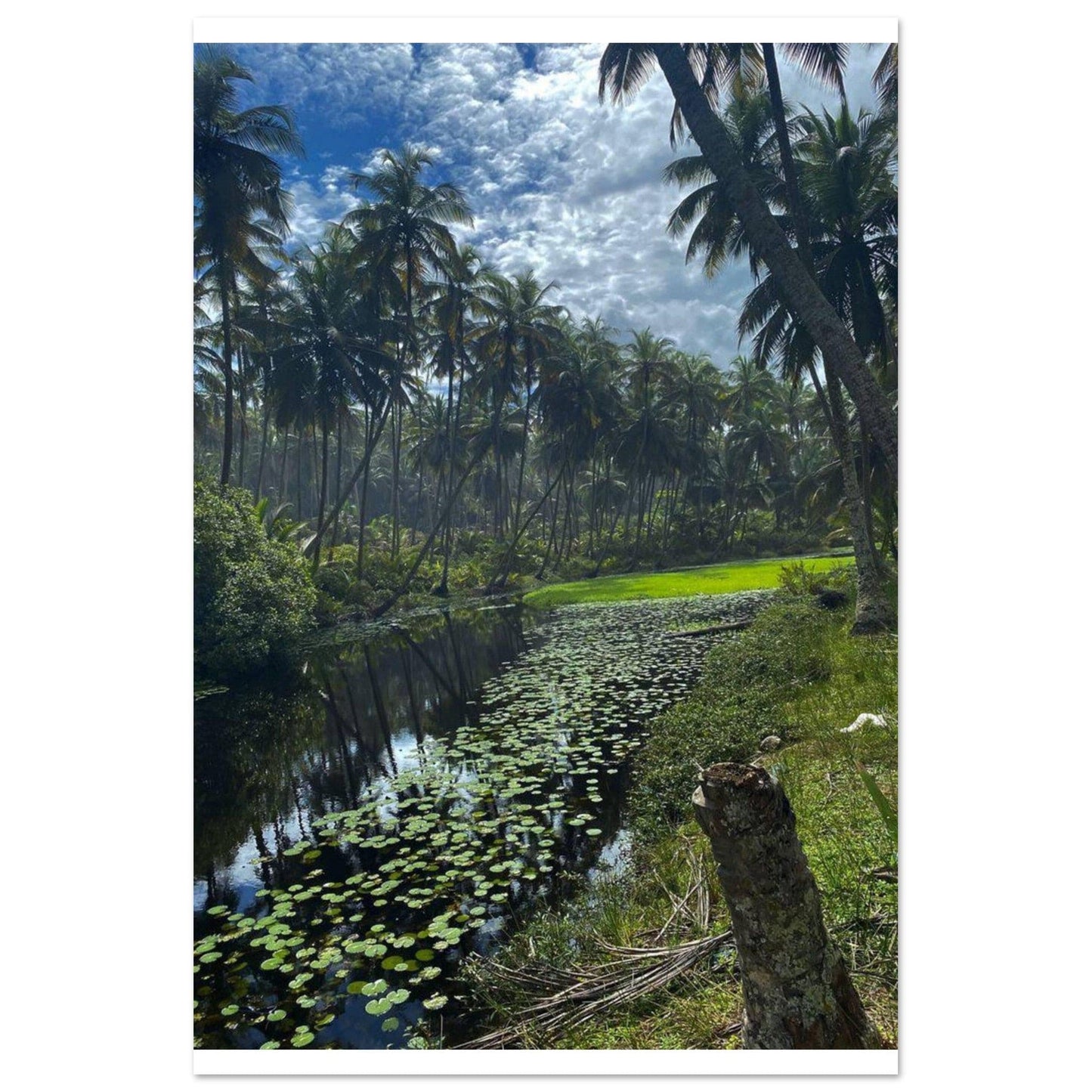 Gelato Print Material 60x90 cm / 24x36″ Affiche Africain Lac Ghana