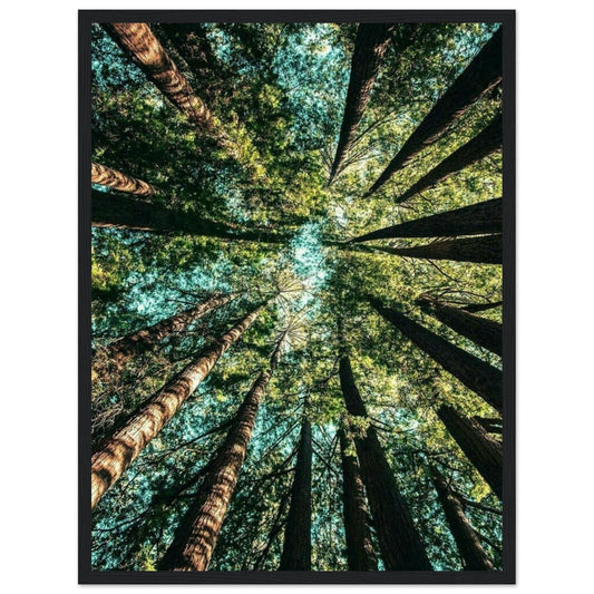 Canvanation Print Material 45x60 cm / 18x24″ Tableau Forêt