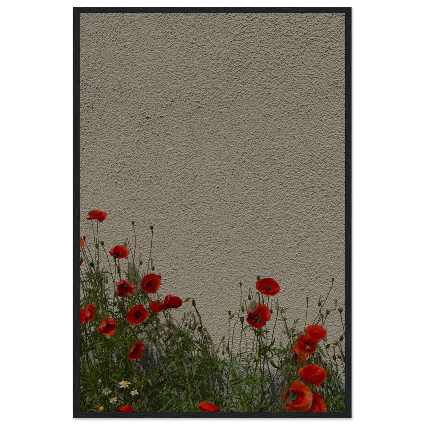 Canvanation Print Material Coquelicot Peinture Acrylique Moderne