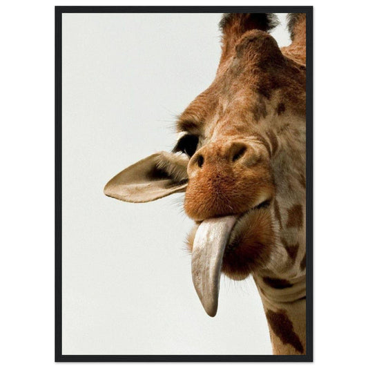 Gelato Print Material 50x70 cm / 20x28″ Tableau Girafe Rigolote