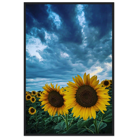 Gelato Print Material 60x90 cm / 24x36″ Peinture Van Gogh Tournesol