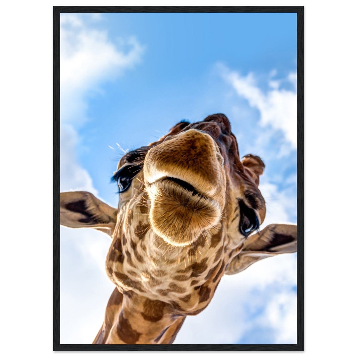 Gelato Print Material 50x70 cm / 20x28″ Tableau Girafe Couleur