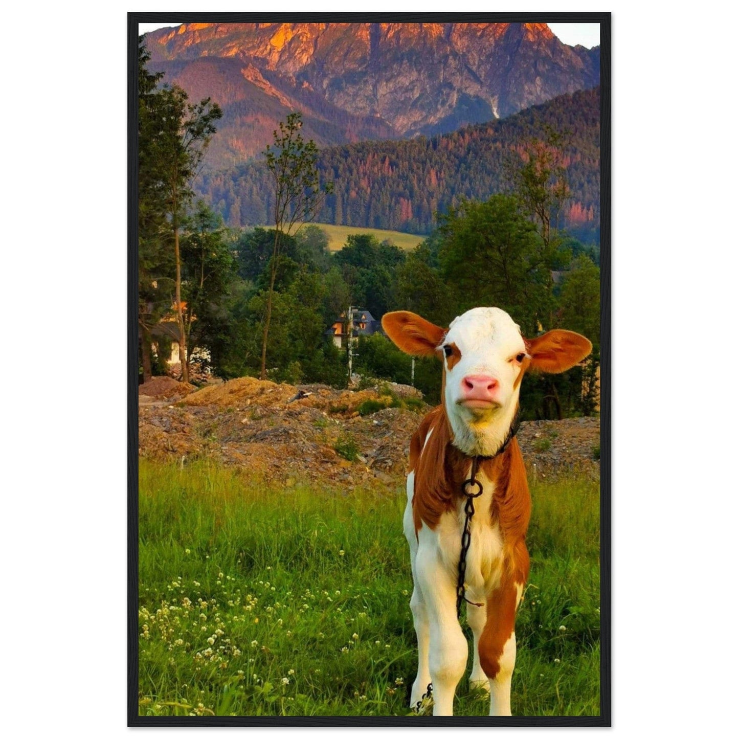 Canvanation Print Material 60x90 cm / 24x36″ Tableau De Vache Moderne