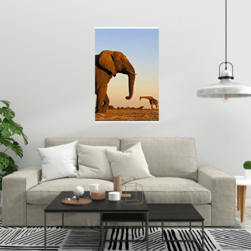 Gelato Print Material Affiche Africaine Couleur