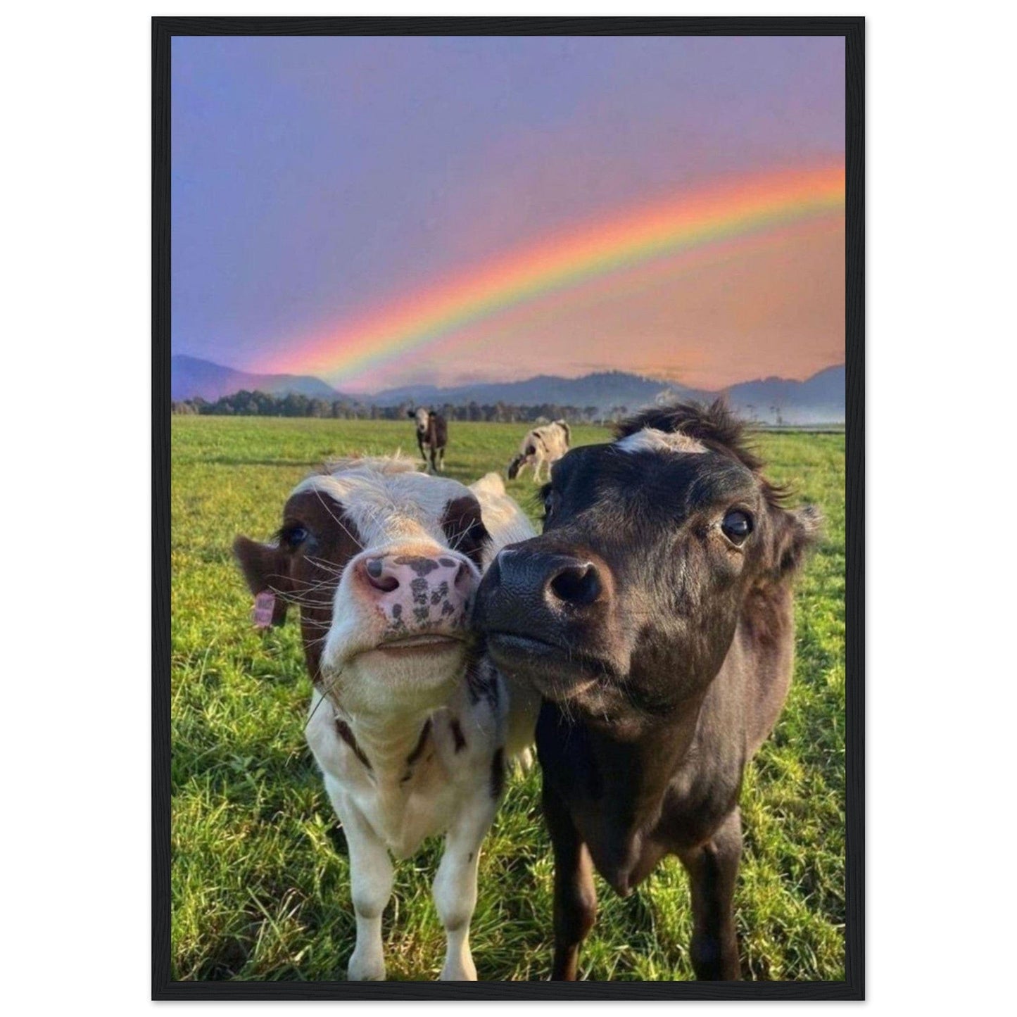 Canvanation Print Material 50x70 cm / 20x28″ Tableau Vache Arc En Ciel