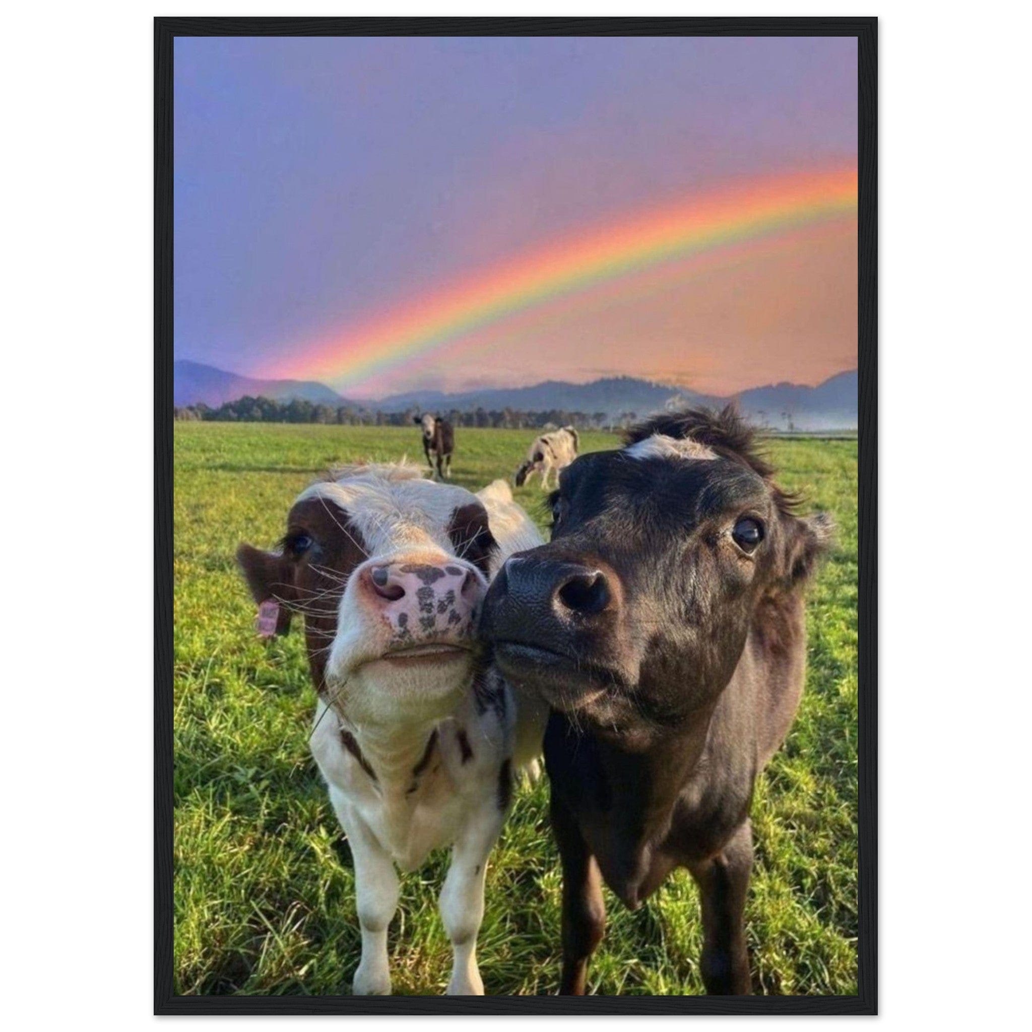 Canvanation Print Material 50x70 cm / 20x28″ Tableau Vache Arc En Ciel