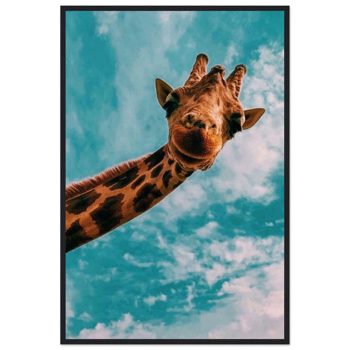 Gelato Print Material 60x90 cm / 24x36″ Cadre Girafe Couleur