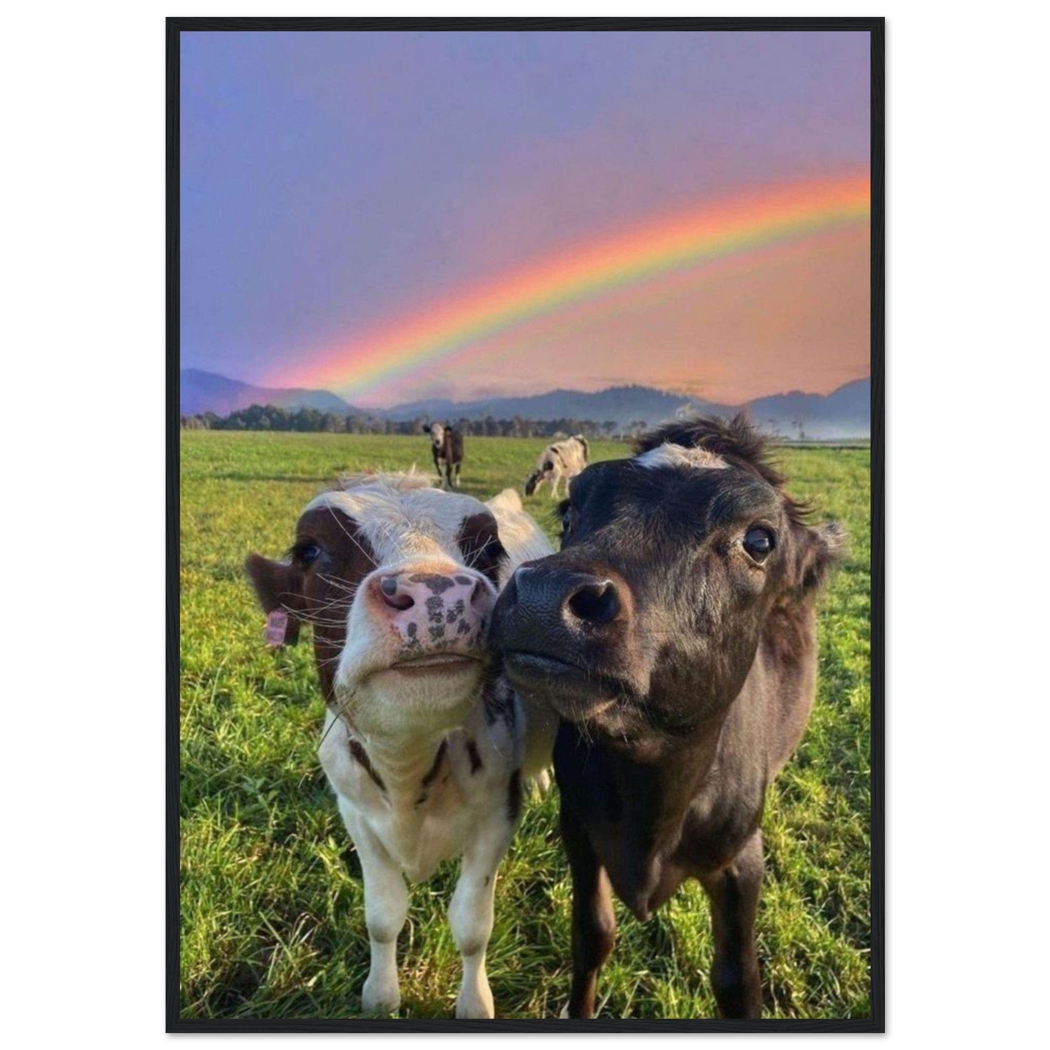 Canvanation Print Material 70x100 cm / 28x40″ Tableau Vache Arc En Ciel
