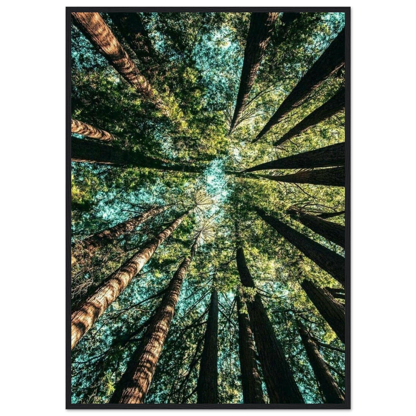 Canvanation Print Material 70x100 cm / 28x40″ Tableau Forêt