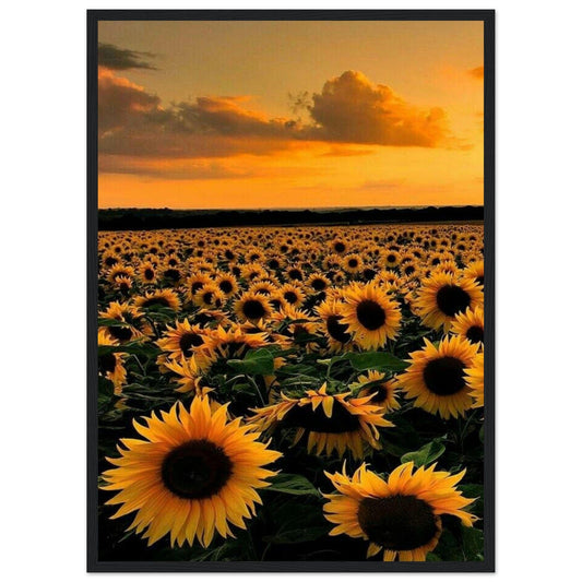 Gelato Print Material 50x70 cm / 20x28″ Monet Tournesol