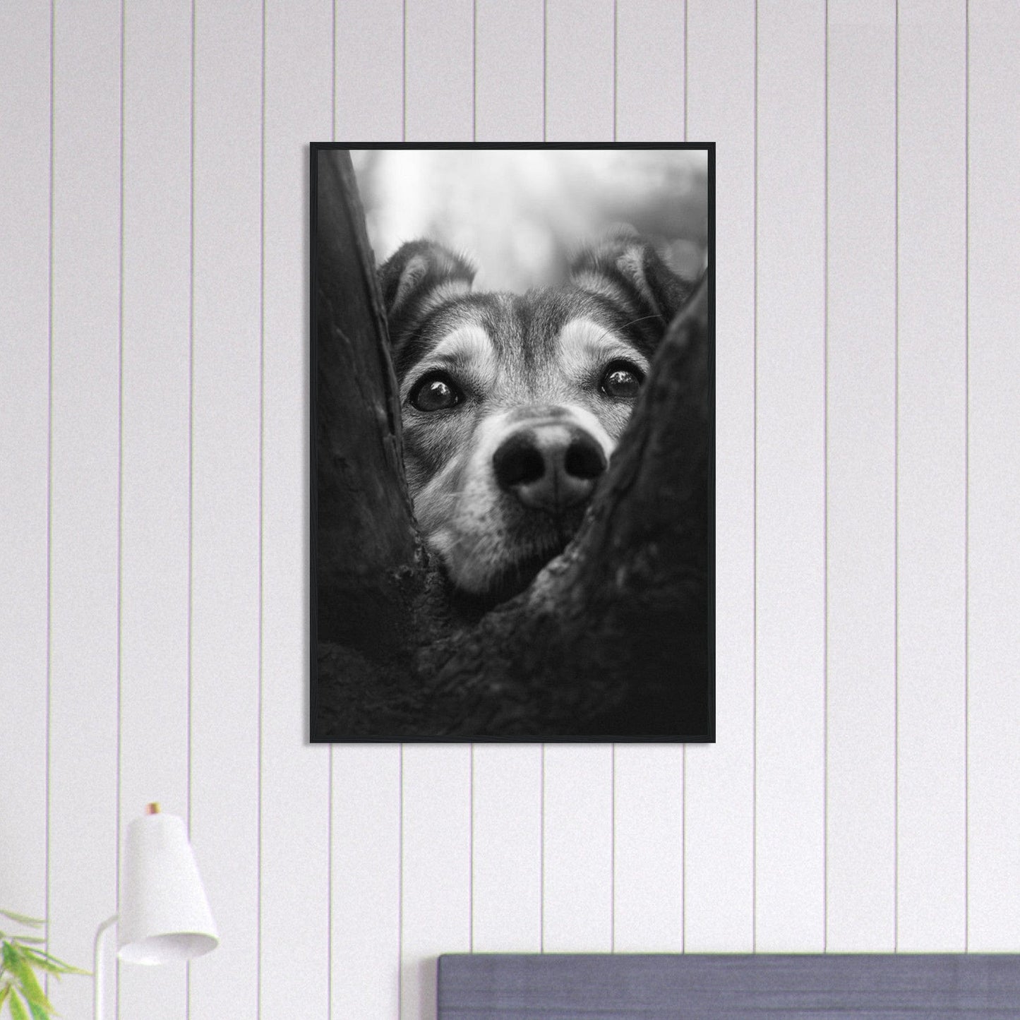 Canvanation Print Material 60x90 cm / 24x36″ Tableau Photo Noir Et Blanc-Animaux-Chien