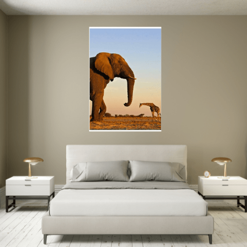 Gelato Print Material Affiche Africaine Couleur