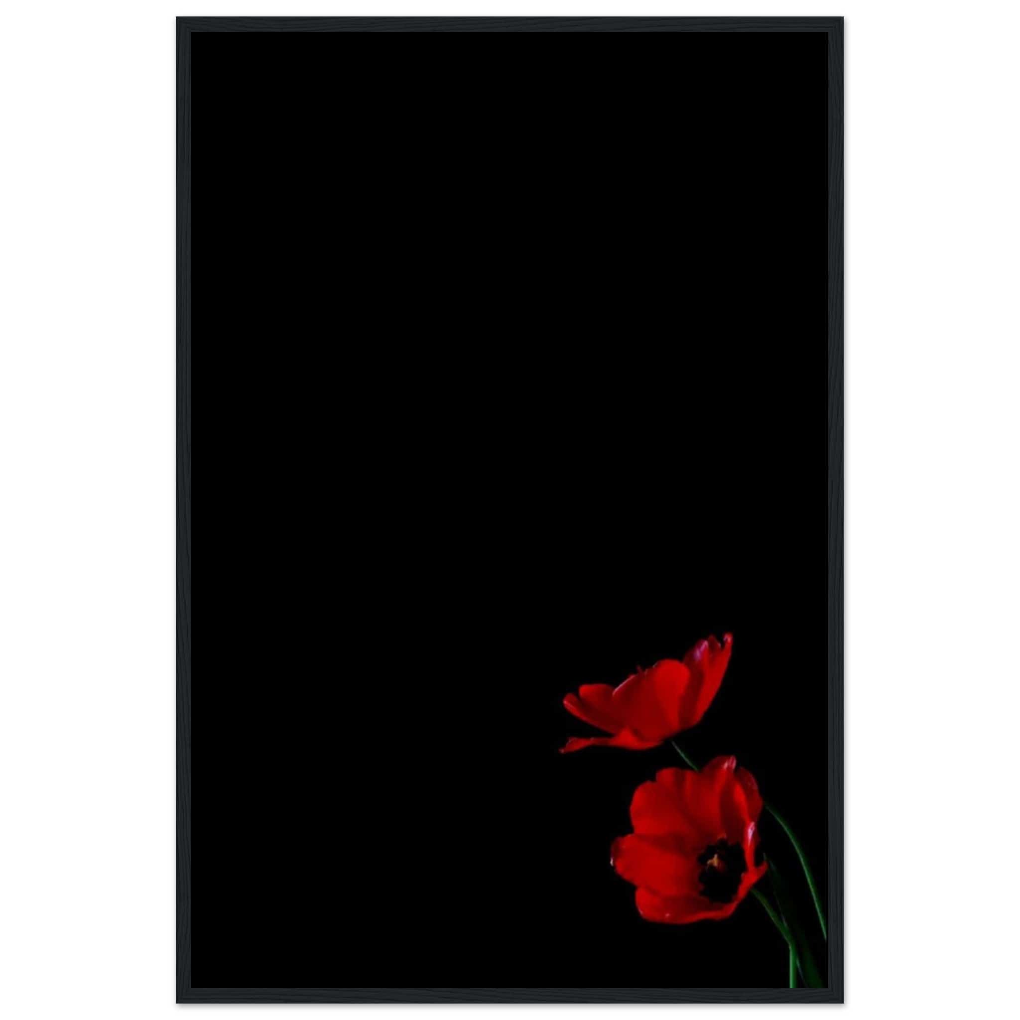 Canvanation Print Material Peinture Champ De Coquelicot