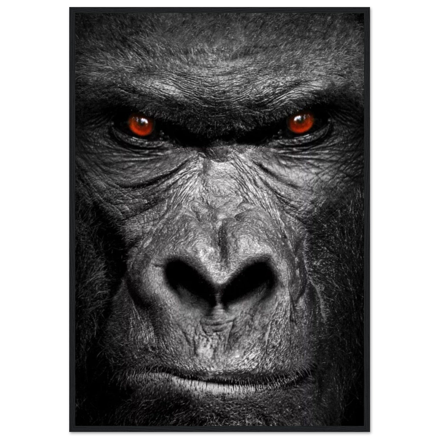 Canvanation Print Material 70x100 cm / 28x40″ Cadre Gorille Noir