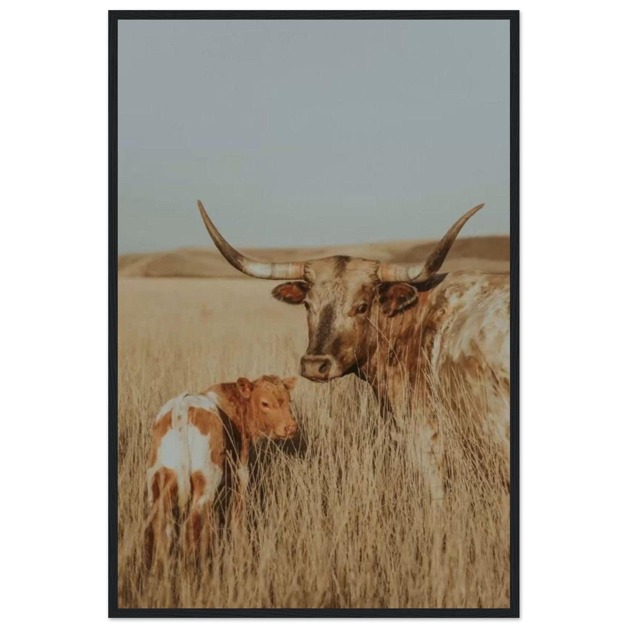 Canvanation Print Material 60x90 cm / 24x36″ Tableau Vache Gasconne