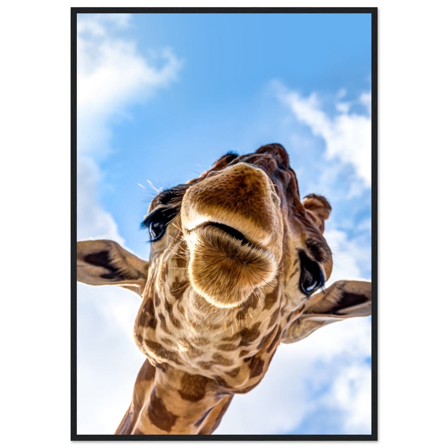 Gelato Print Material 70x100 cm / 28x40″ Tableau Girafe Couleur