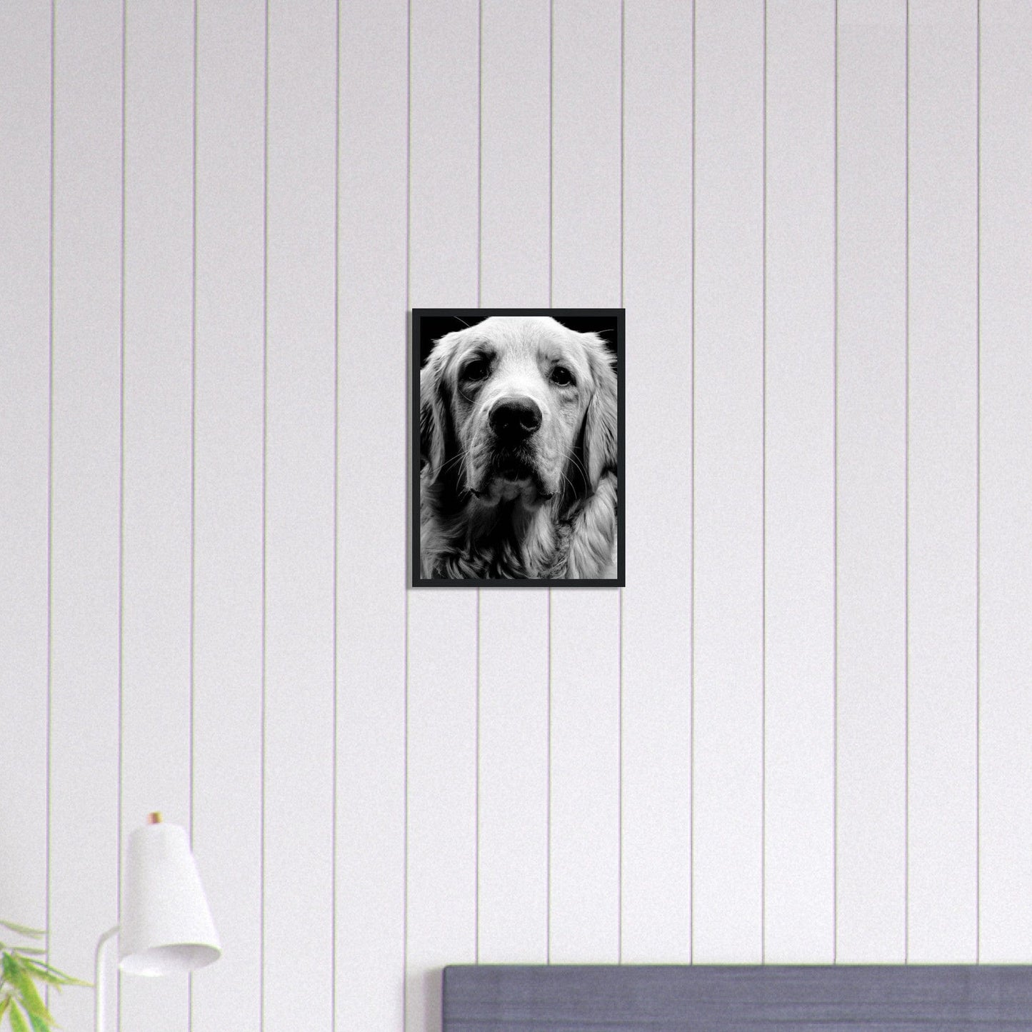 Canvanation Print Material 30x40 cm / 12x16″ Tableau Photo Noir Et Blanc-Animaux-Chien