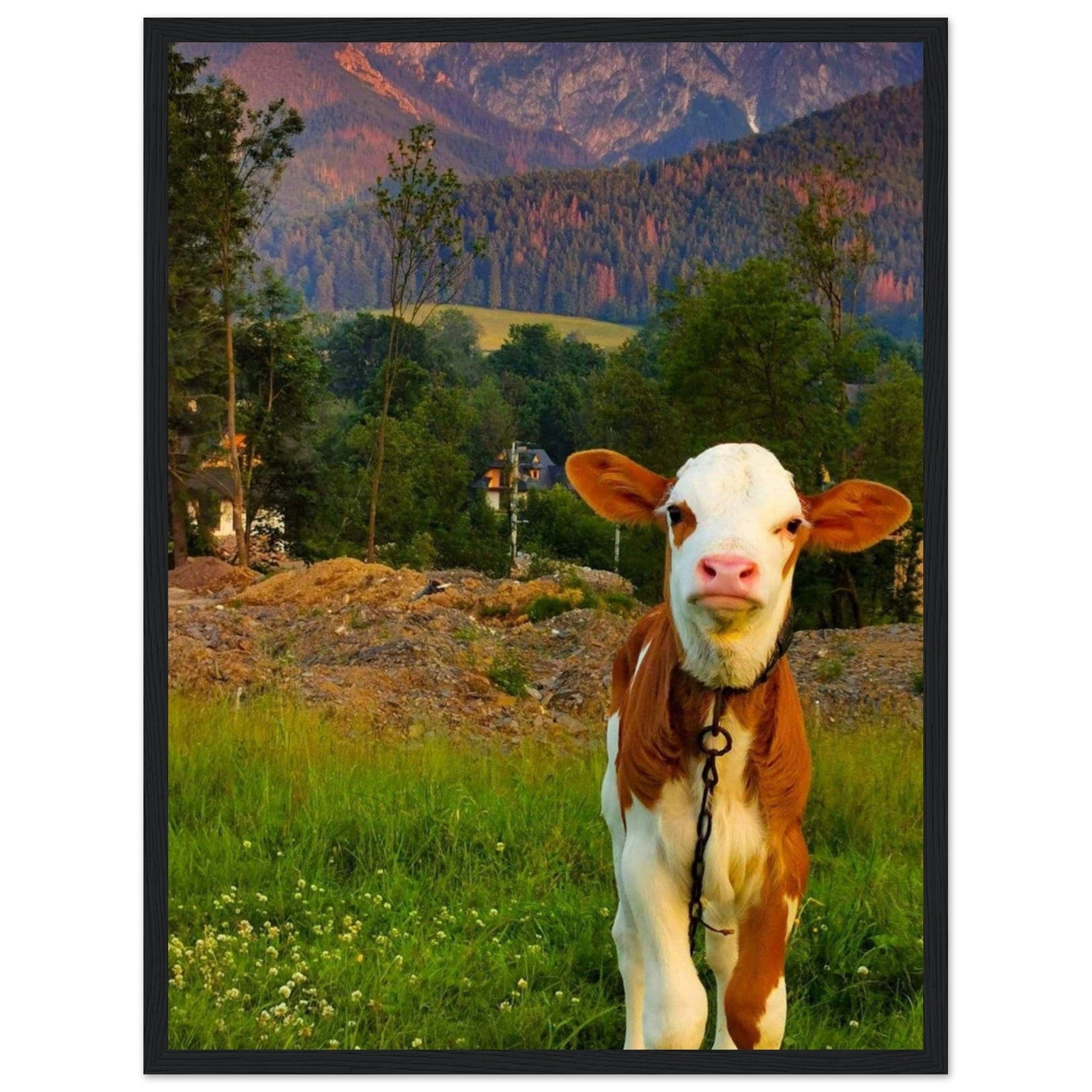 Canvanation Print Material 45x60 cm / 18x24″ Tableau De Vache Moderne