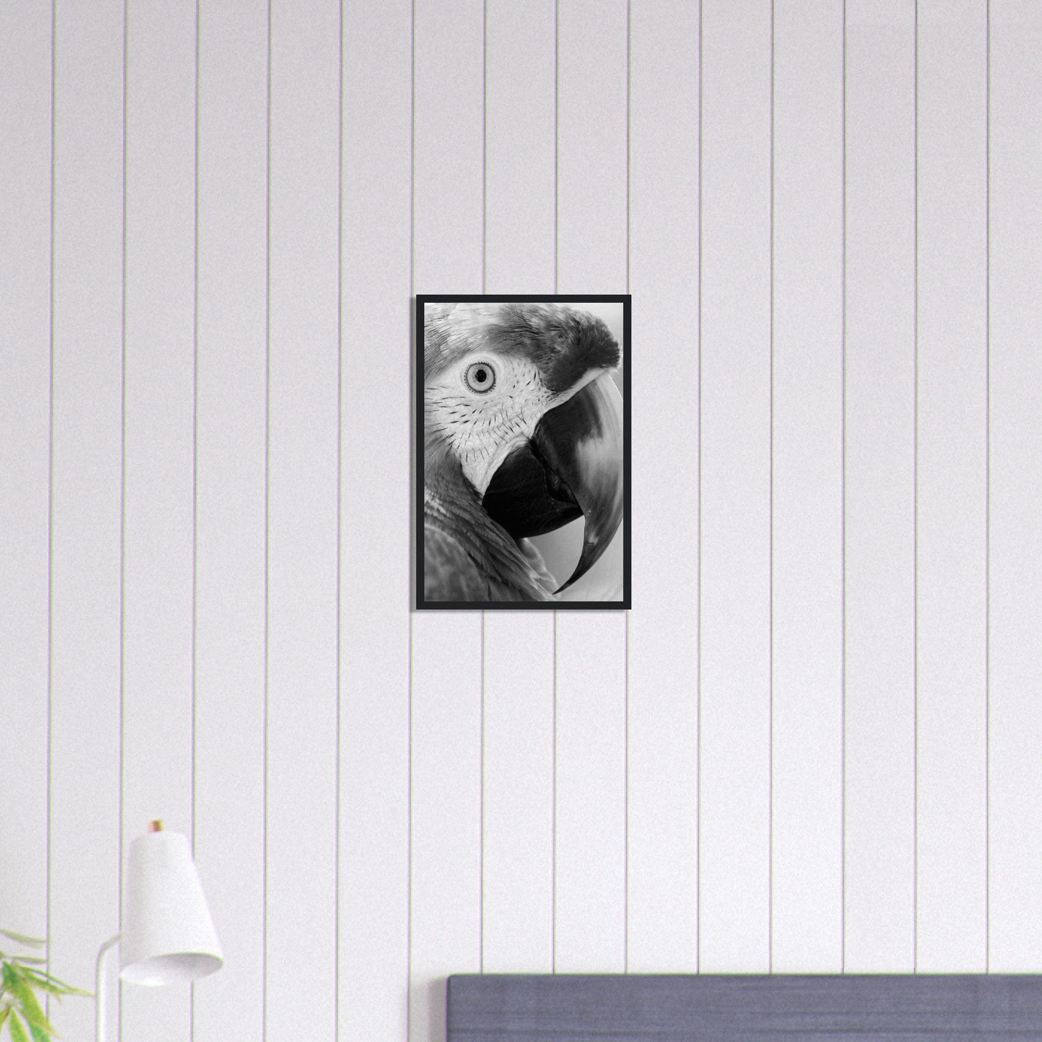 Canvanation Print Material 30x45 cm / 12x18″ Tableau Photo Noir Et Blanc-Animaux-Perroquet