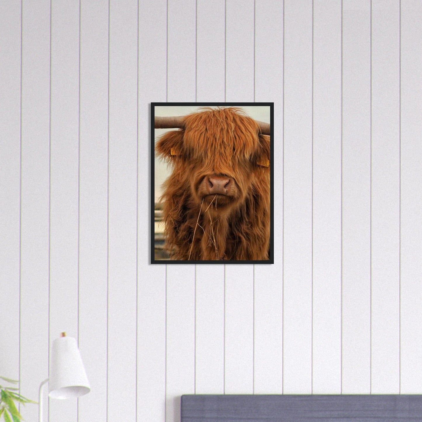 Canvanation Print Material Cadre / 70x100 cm / 28x40″ Tableau Vache Highland