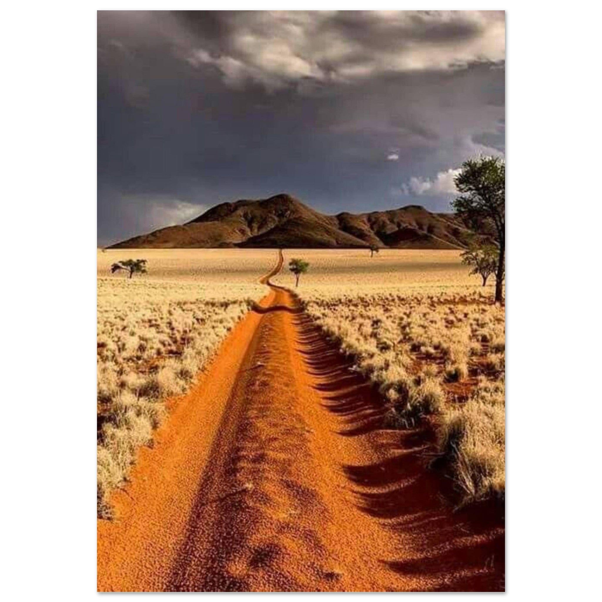 Gelato Print Material 70x100 cm / 28x40″ Affiche Africain Namibie