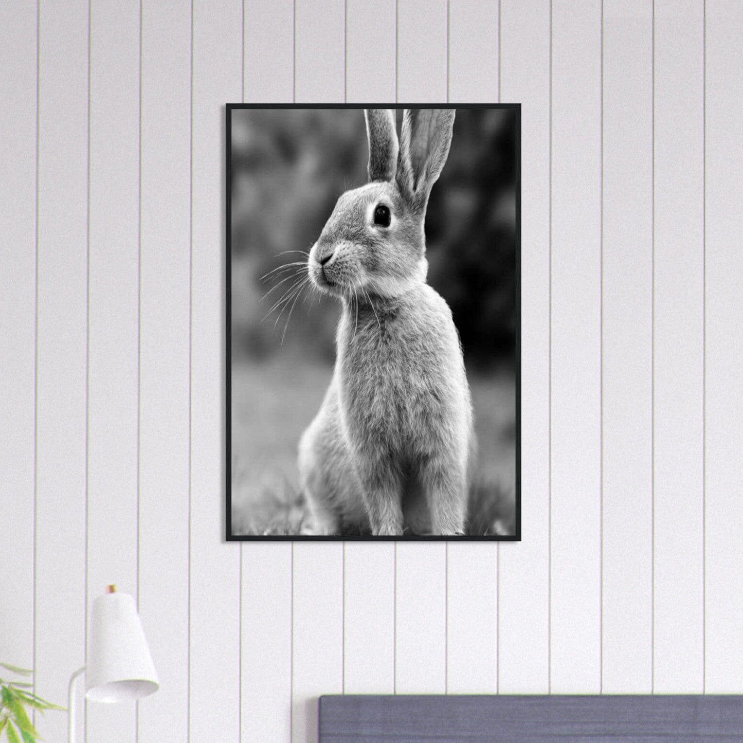 Canvanation Print Material 60x90 cm / 24x36″ Tableau Photo Noir Et Blanc-Animaux-Lapin