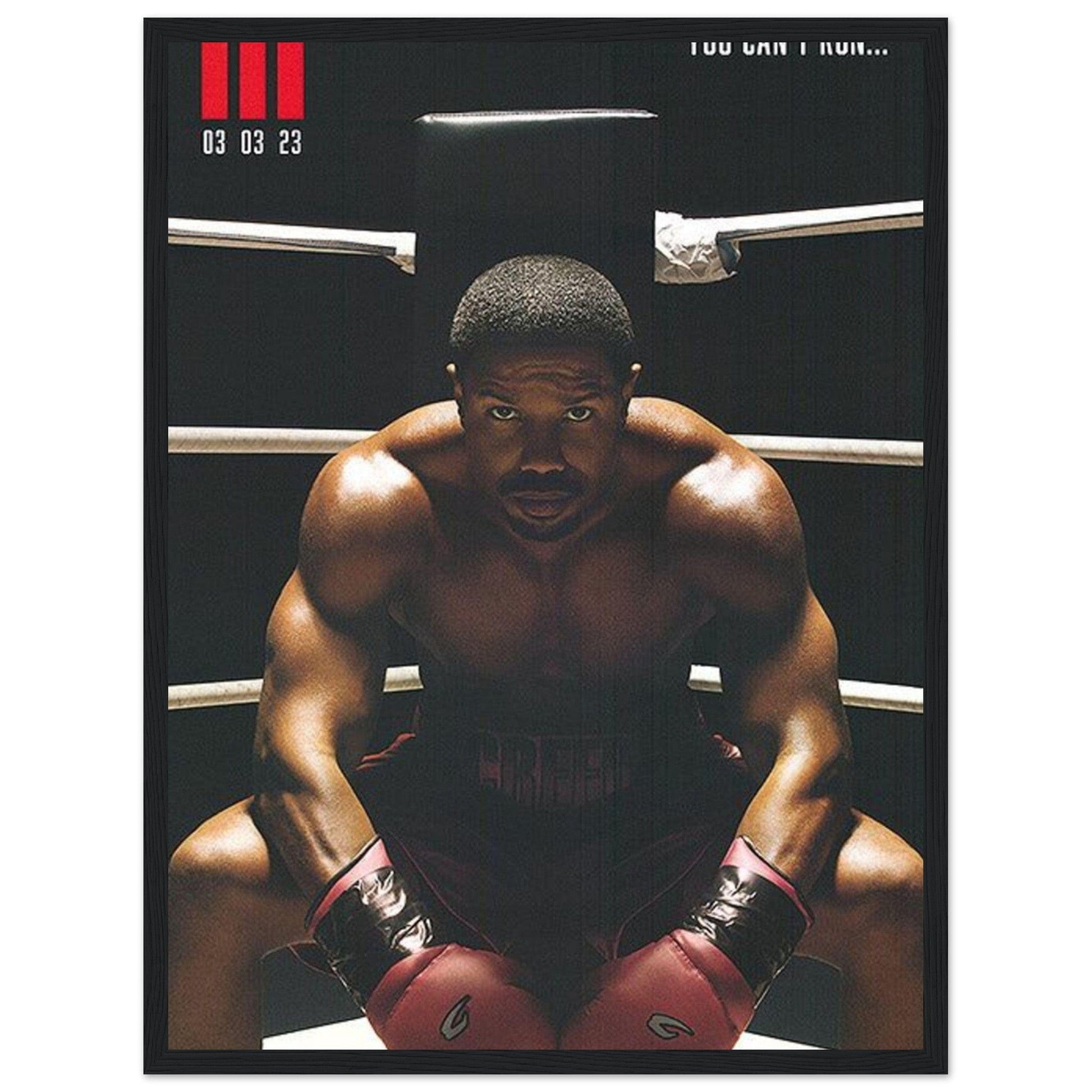 Canvanation Print Material Tableau Boxe Creed 3