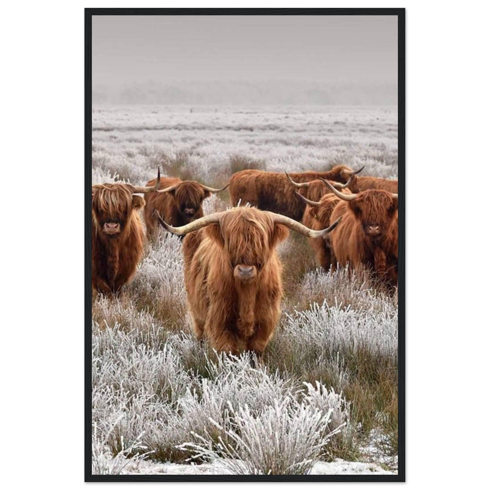 Canvanation Print Material 60x90 cm / 24x36″ Tableau Vache Couleur