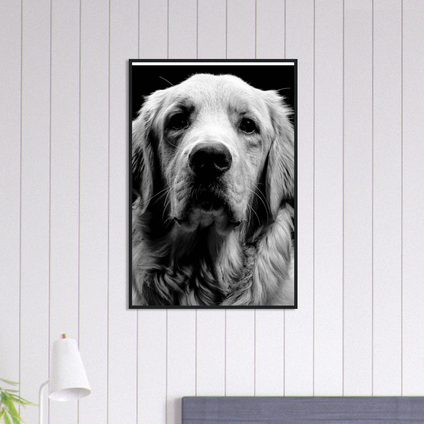 Canvanation Print Material 60x90 cm / 24x36″ Tableau Photo Noir Et Blanc-Animaux-Chien