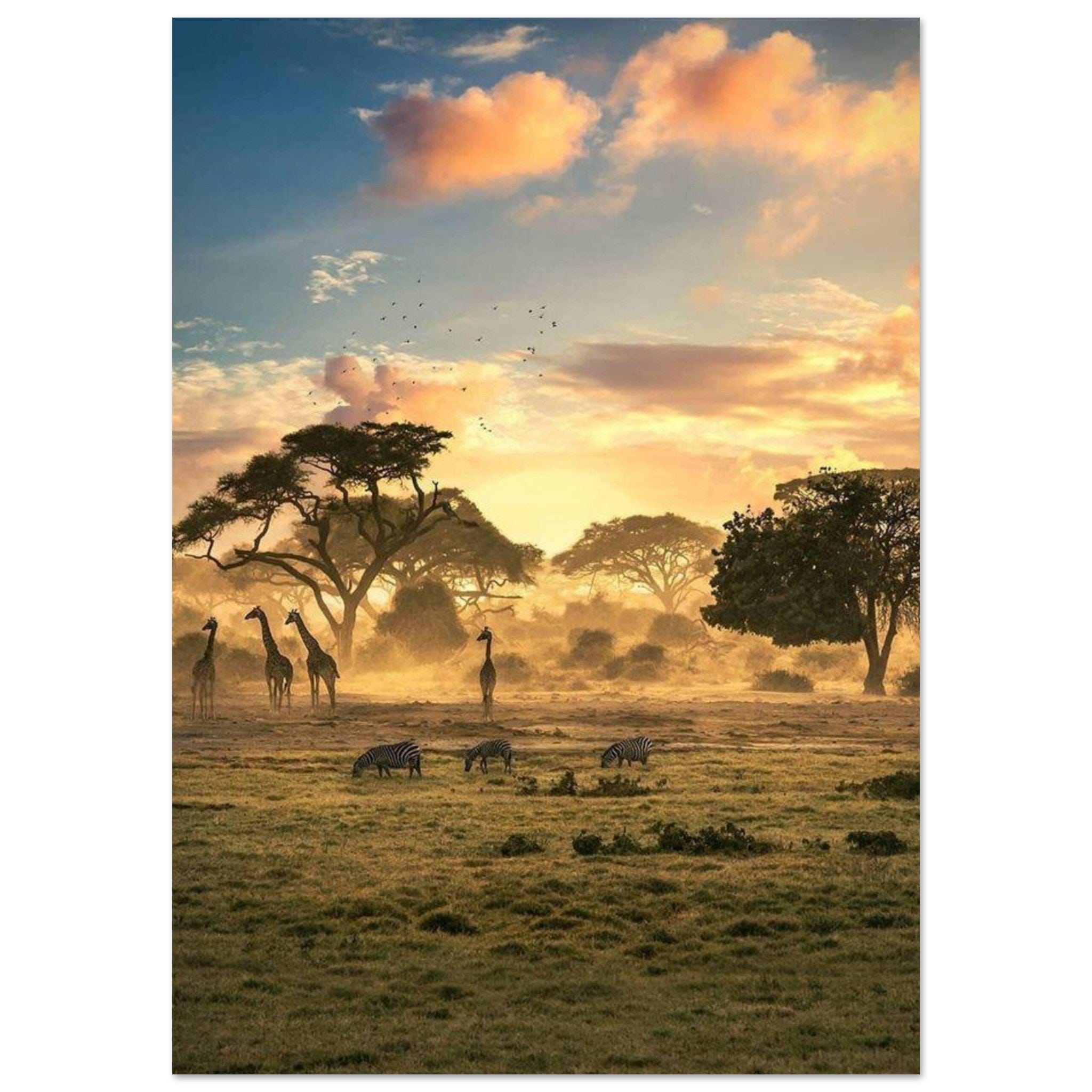 Gelato Print Material A0 (84.1 x 118.9 cm) Affiche Africain Zimbabwe
