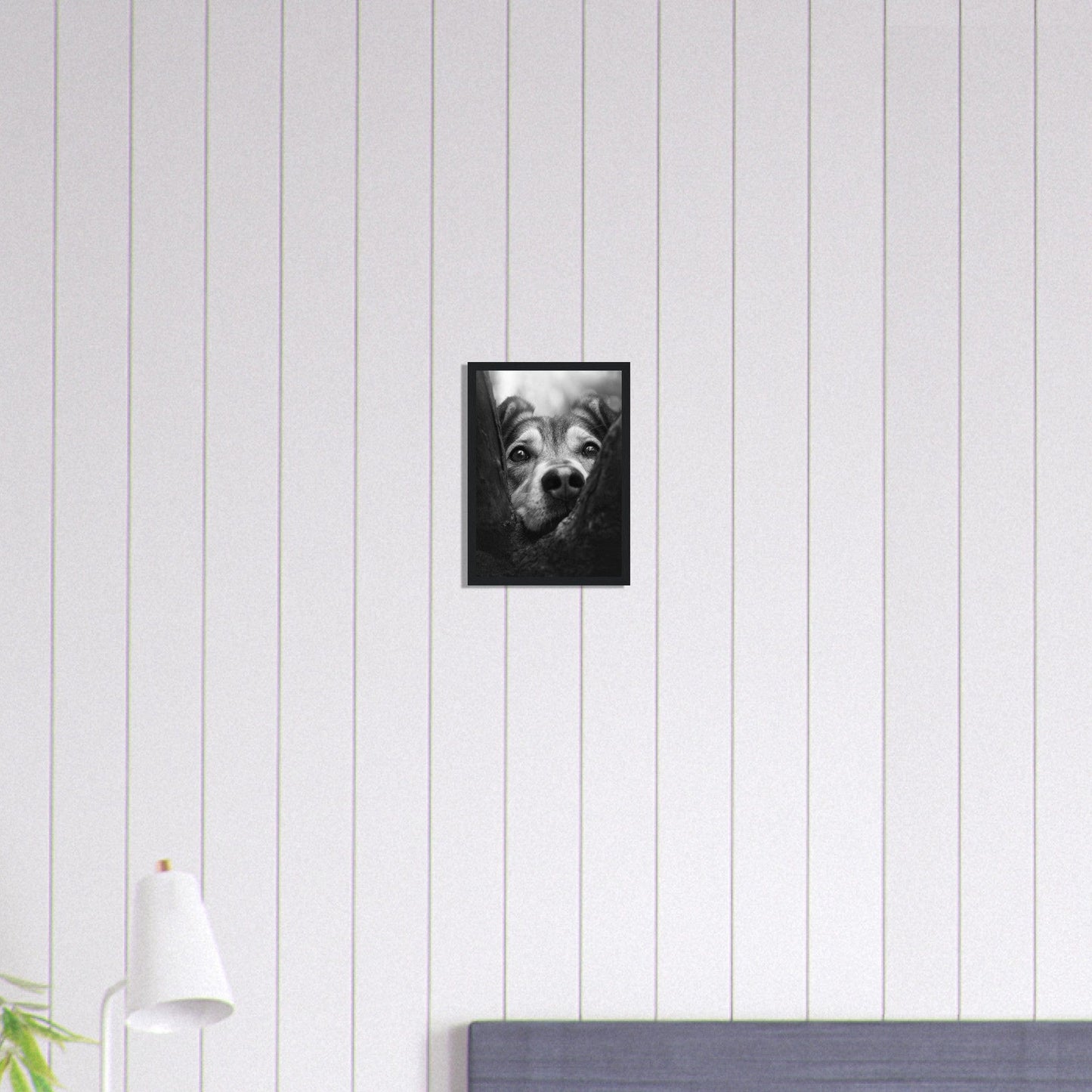 Canvanation Print Material A4 21x29.7 cm / 8x12″ Tableau Photo Noir Et Blanc-Animaux-Chien
