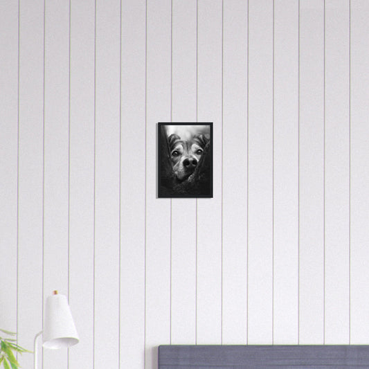 Canvanation Print Material A4 21x29.7 cm / 8x12″ Tableau Photo Noir Et Blanc-Animaux-Chien