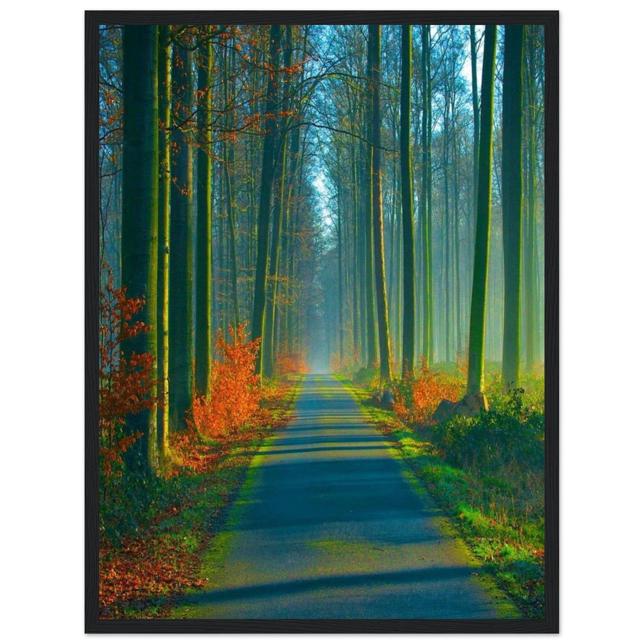 Canvanation Print Material 45x60 cm / 18x24″ Peinture Forêt