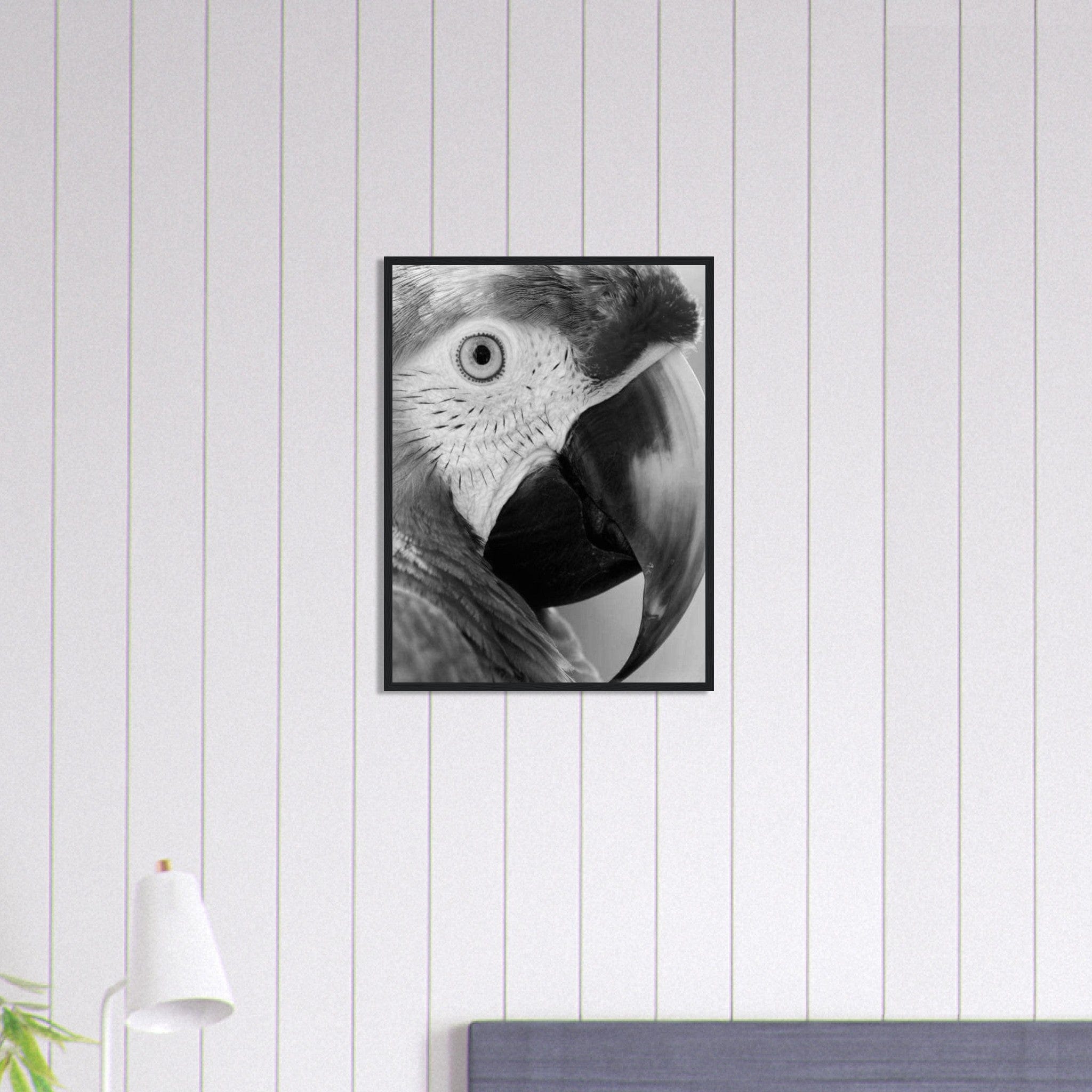 Canvanation Print Material 45x60 cm / 18x24″ Tableau Photo Noir Et Blanc-Animaux-Perroquet