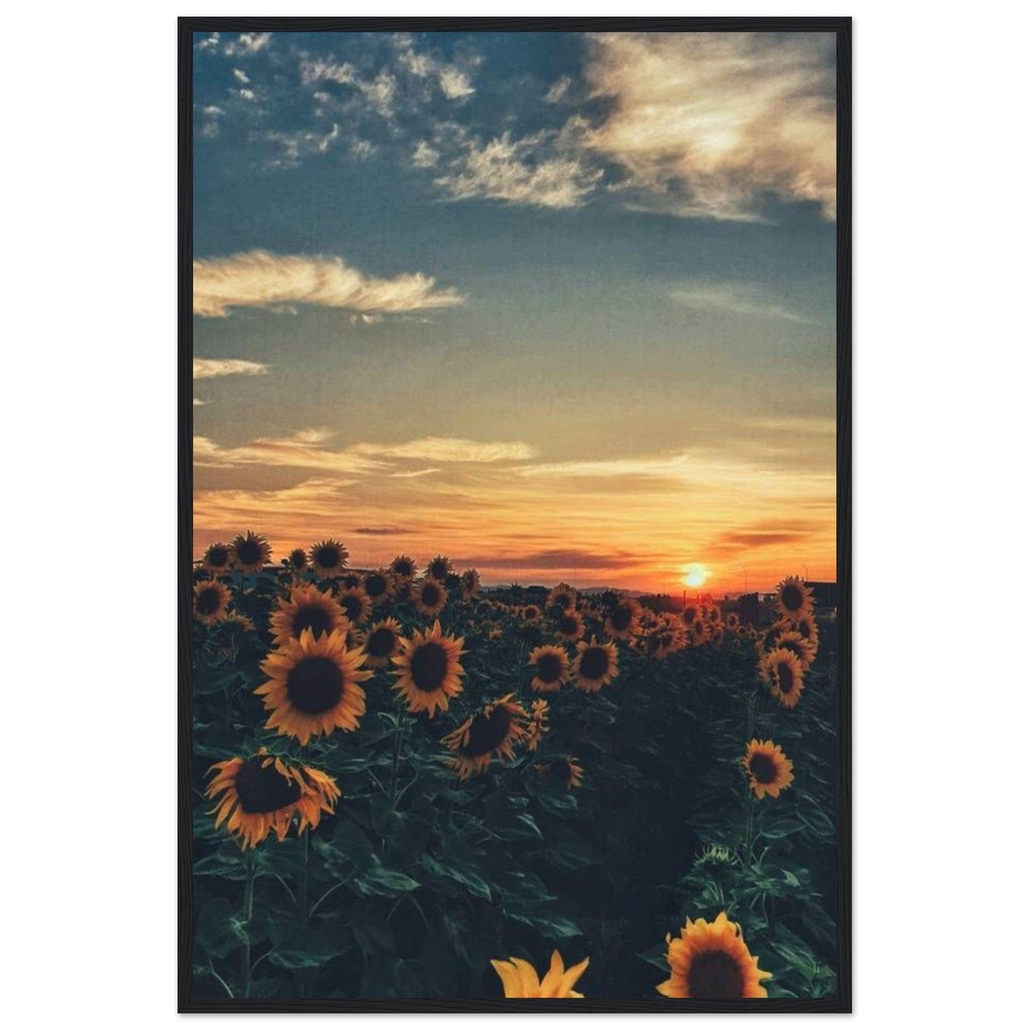 Gelato Print Material 60x90 cm / 24x36″ Tableau De Tournesol