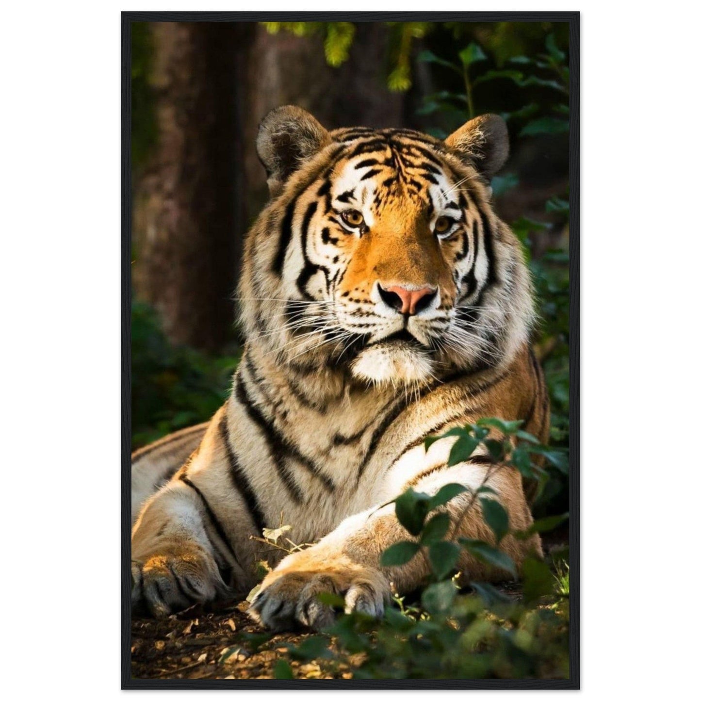 Canvanation Print Material 60x90 cm / 24x36″ Tableau Tigre
