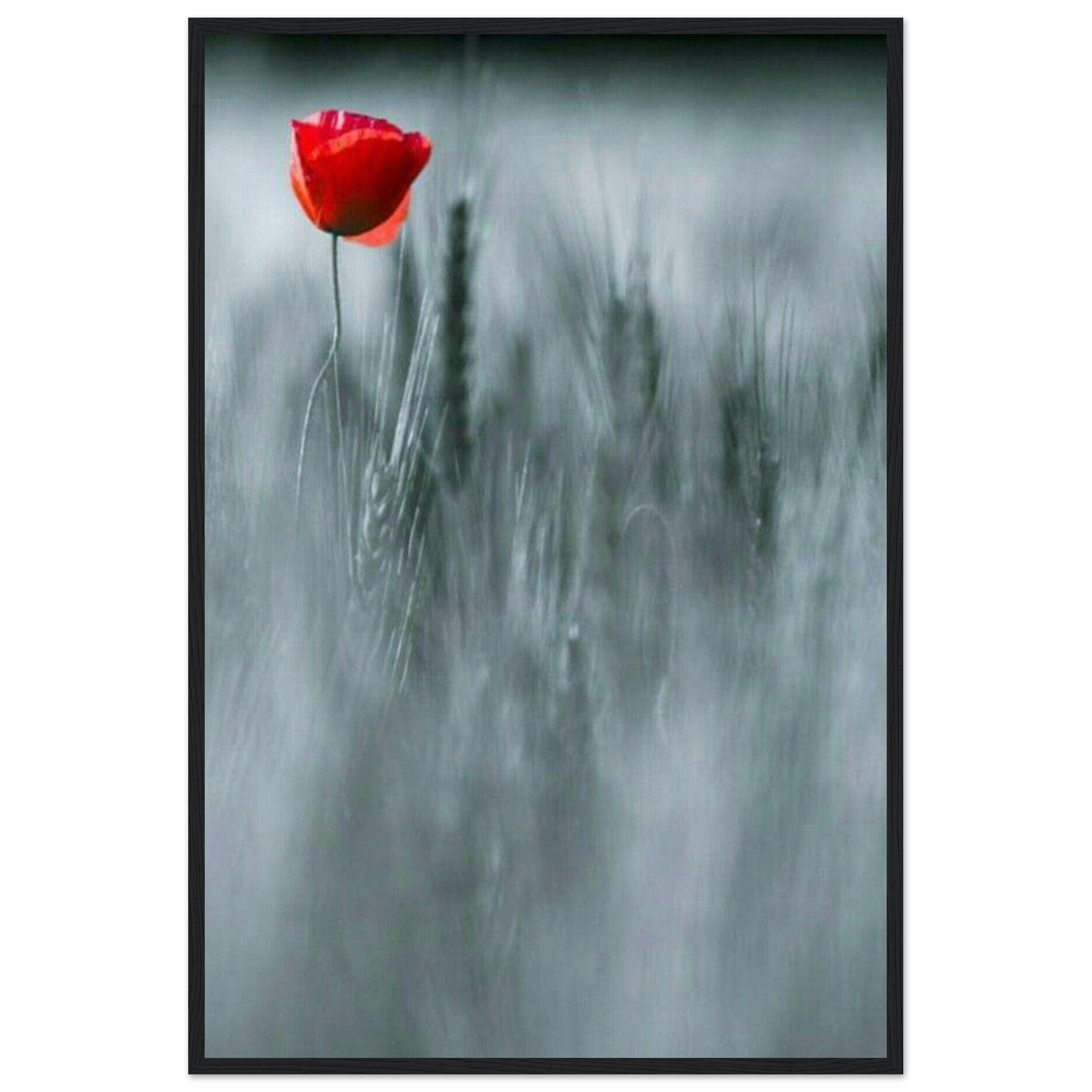 Canvanation Print Material Peinture Champ De Coquelicots